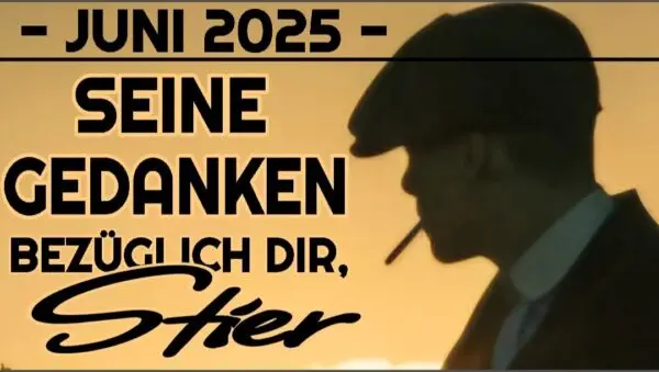 Stier GGA Juni 2025