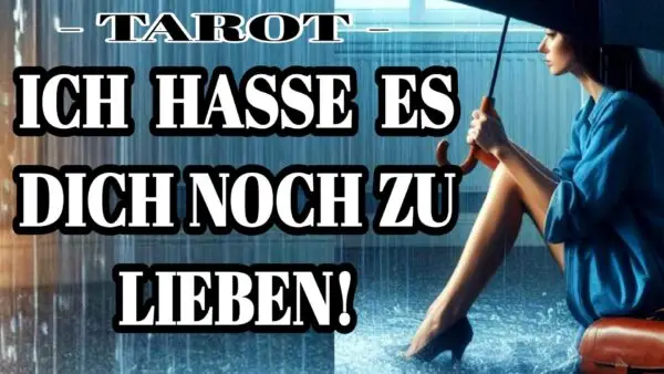 Ich hasse es Dich noch zu lieben