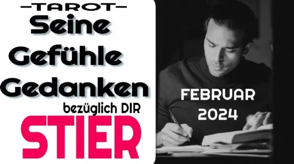 Stier Fortsetzung Februar