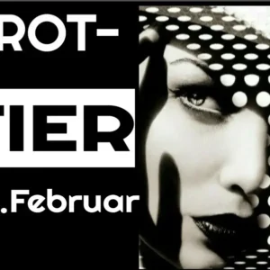 Stier Fortsetzung 15.-29. Februar