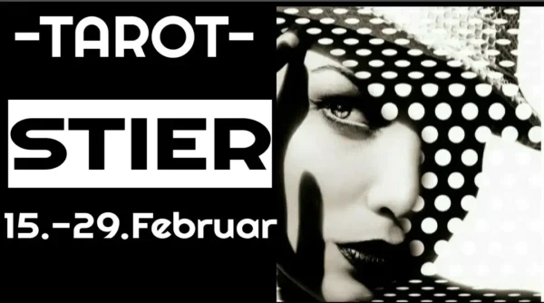 Stier Fortsetzung 15.-29. Februar