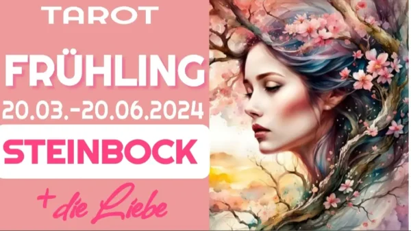 Steinbock Fortsetzung Frühling