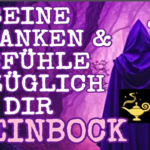 Steinbock GGA Fortsetzung Juni