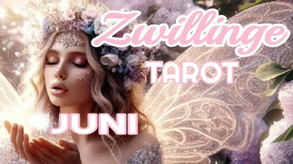 Zwillinge Fortsetzung Juni