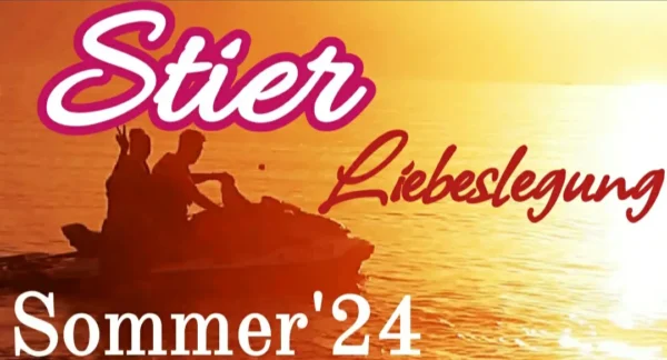 Stier Fortsetzung Sommer '24
