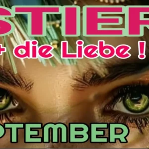 Stier und die Liebe September '24