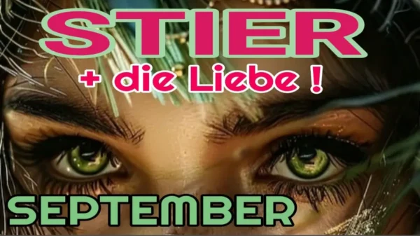 Stier und die Liebe September '24