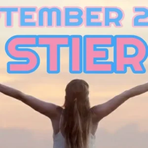 Stier September '24