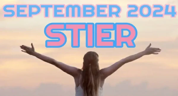 Stier September '24