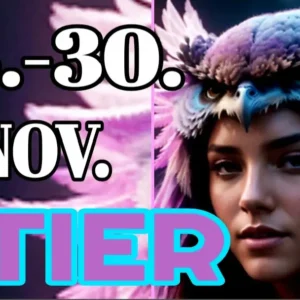 Stier 15.-30.November '24