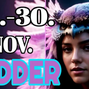 Widder 15.-30.November '24