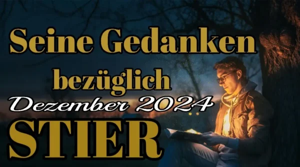 Stier Dezember '24