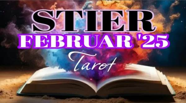 Stier Februar 2025